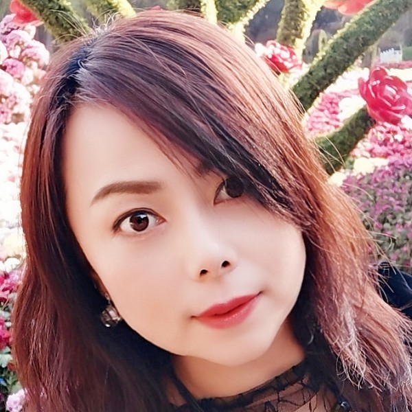 单翅蝴蝶的照片