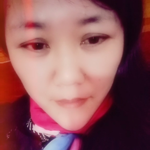 大雁甜美的照片