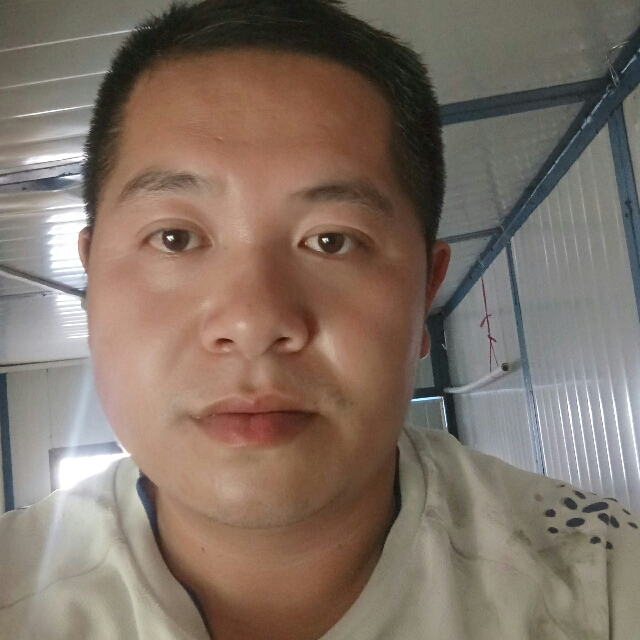 黑夜的爱的照片