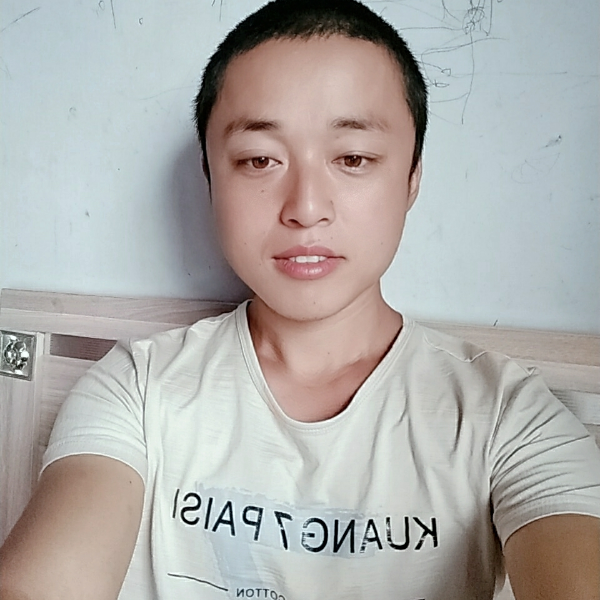 惊鸿放弃勤奋的照片