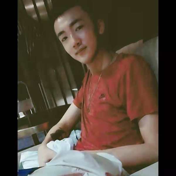 華麗爱大雁的照片