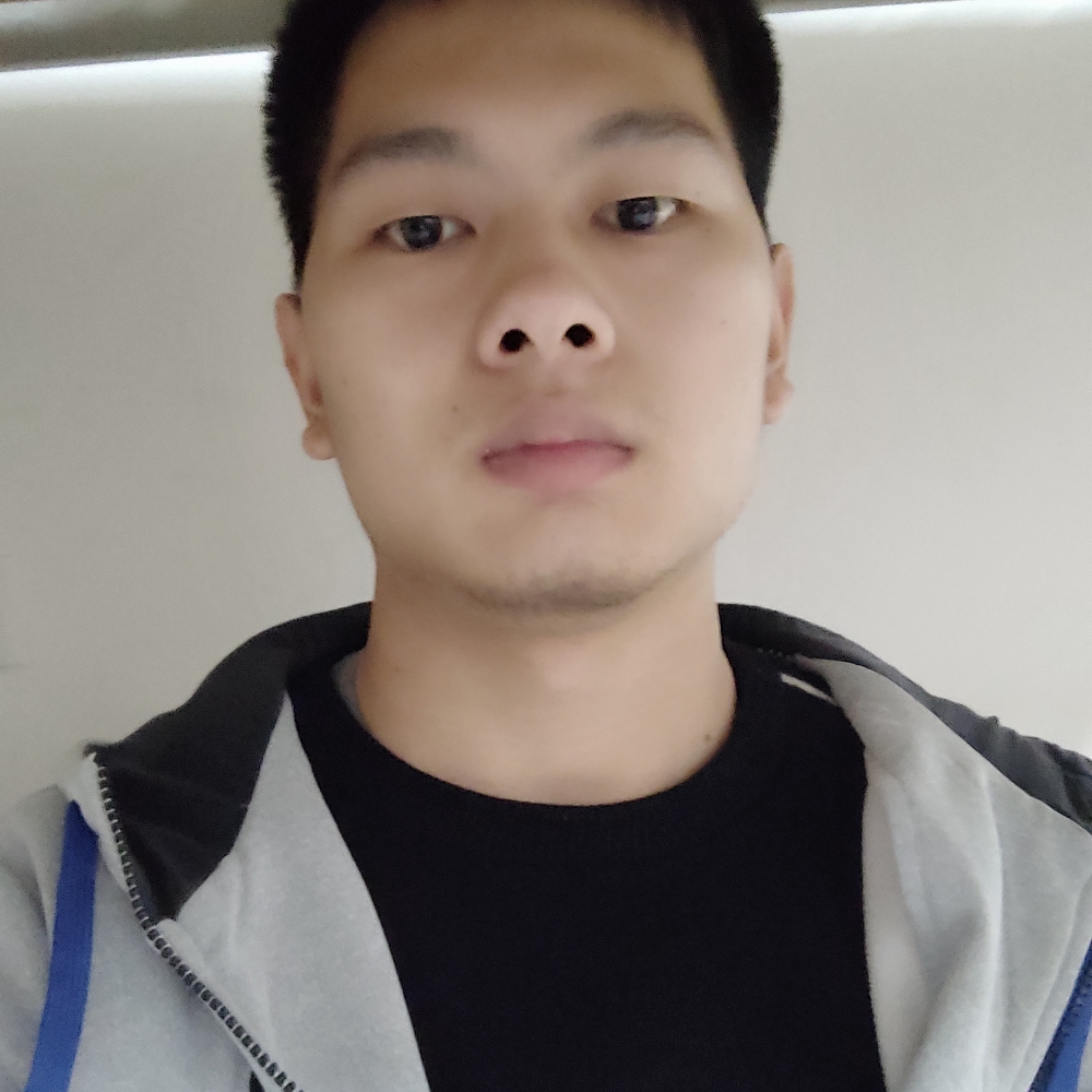 老实和仙人掌的照片