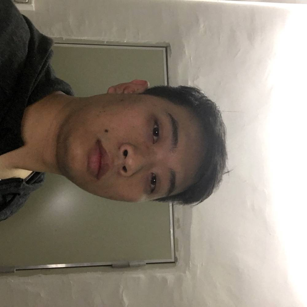 小蜜蜂和害羞的照片