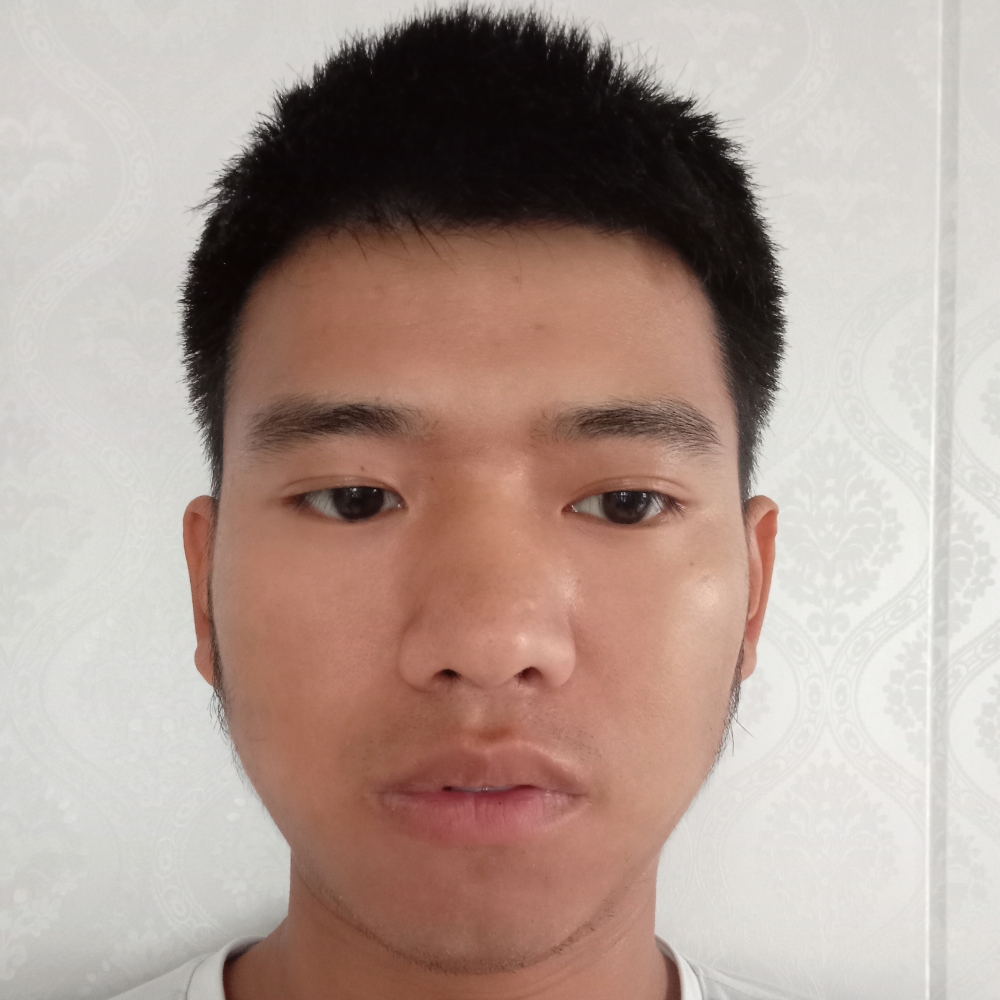 蜜蜂向敏感的照片