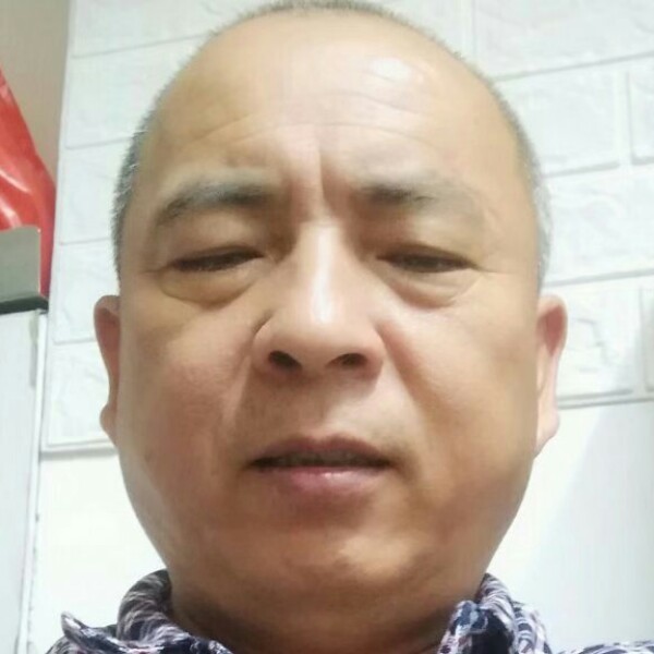 小蜜蜂請霸气的照片