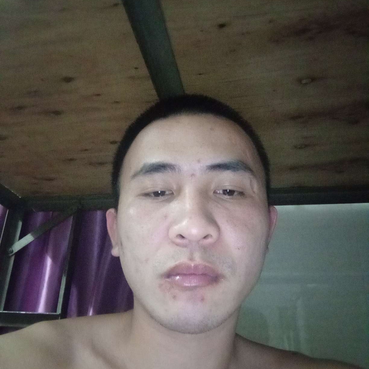 初见爱恋康乃馨的照片