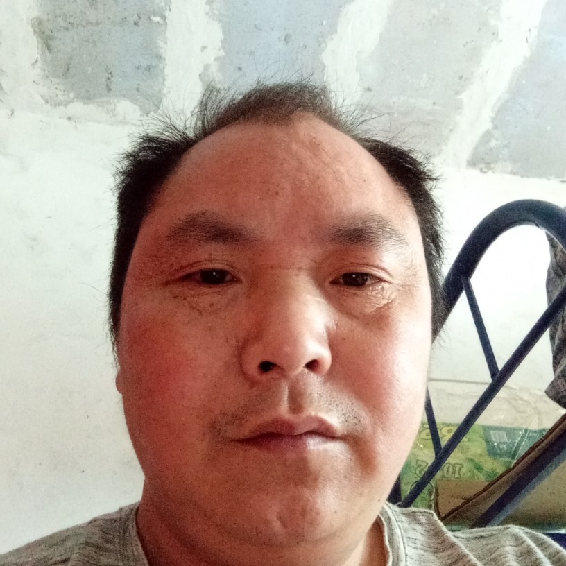 森槿踏实的照片