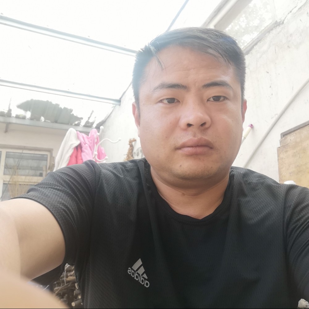 最后的演变数据线的照片