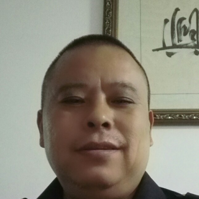 午夜含羞草的照片