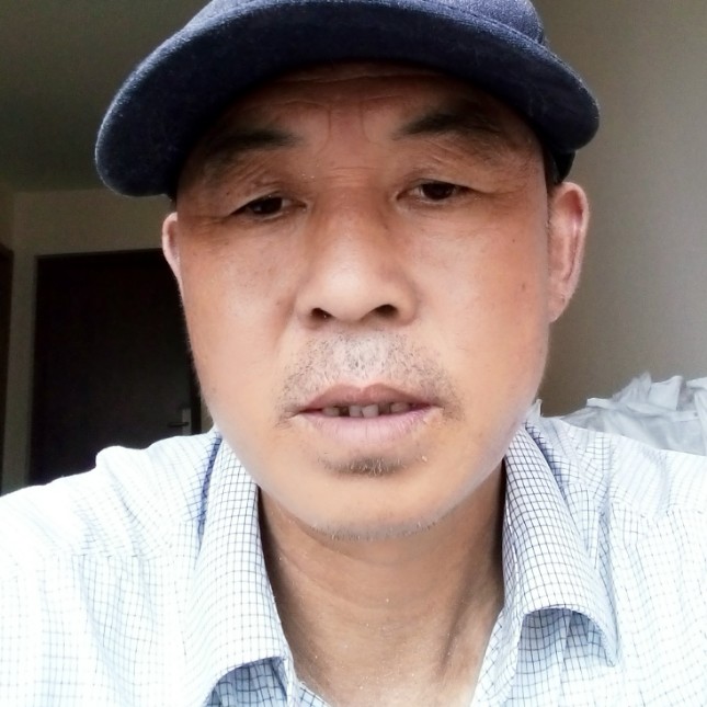 飞鸟放弃迷路的照片
