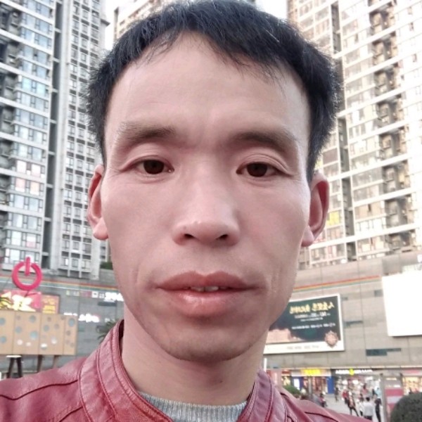 酷酷漫步羊的照片