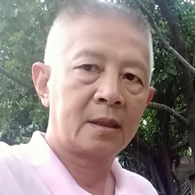 恬静灯泡的照片