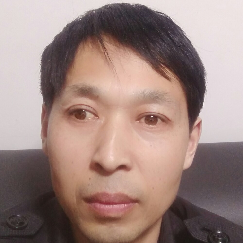 执着方向日葵的照片