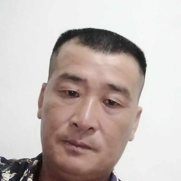 坚强愿乌龟的照片