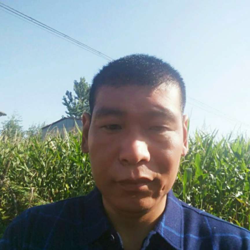 会员907082182的照片
