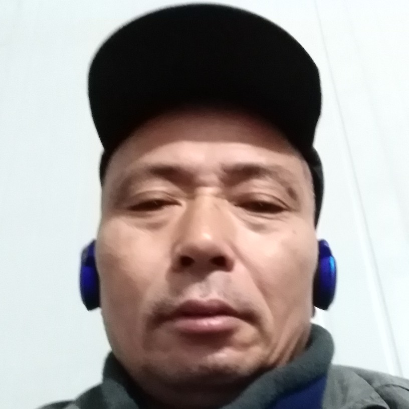 亲爱的与大象的照片