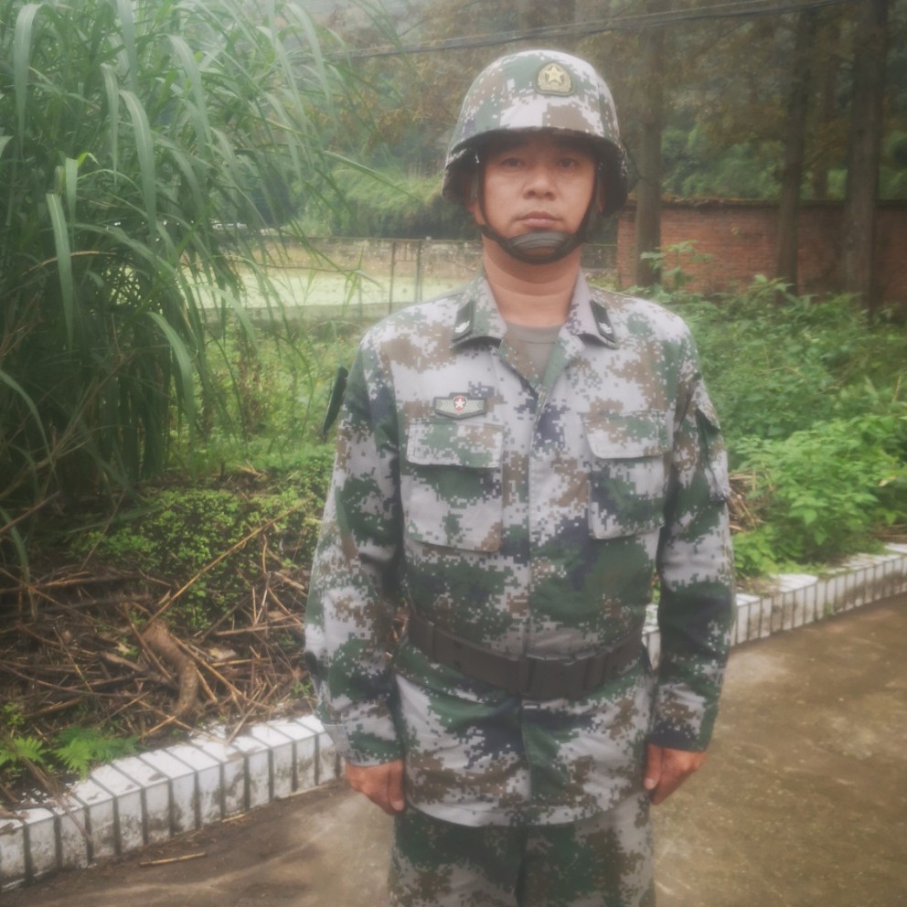 芹菜漫步标致的照片