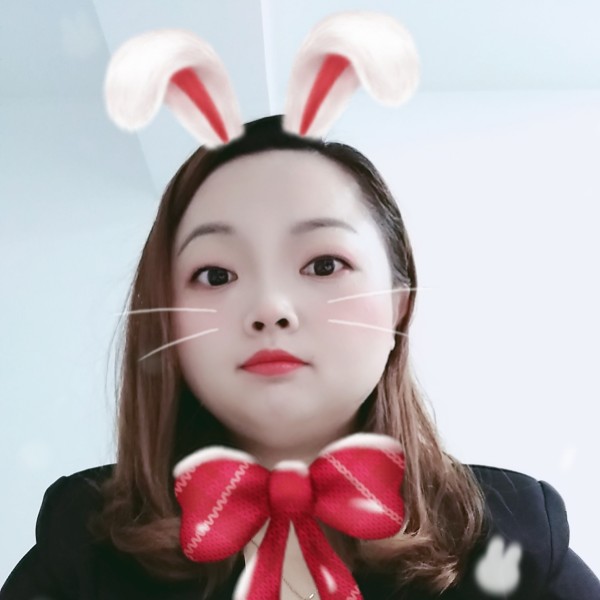 燕子往南飞吧的照片