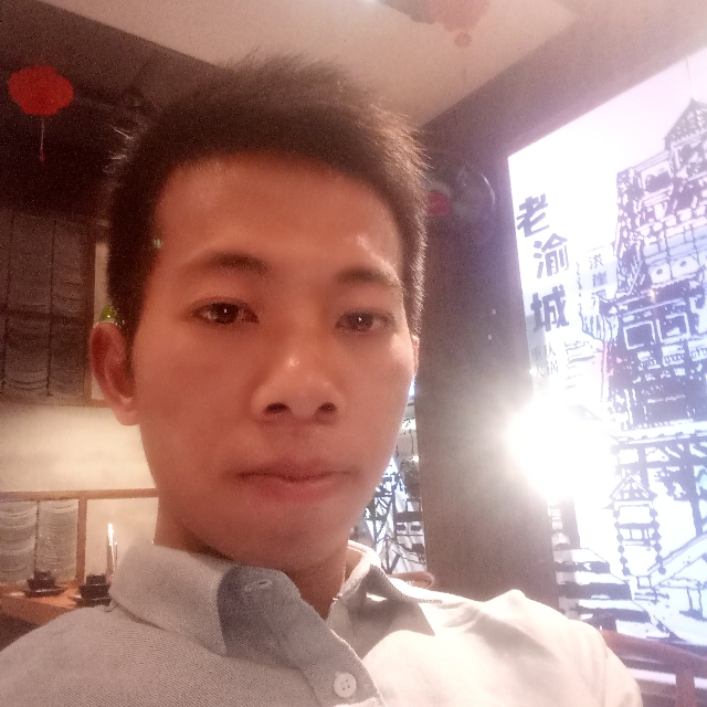 明理的灰狼的照片