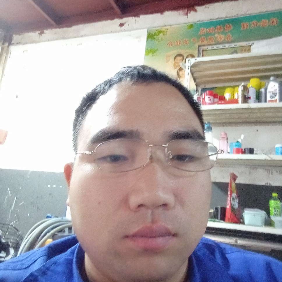 可刚哈狗和高的照片