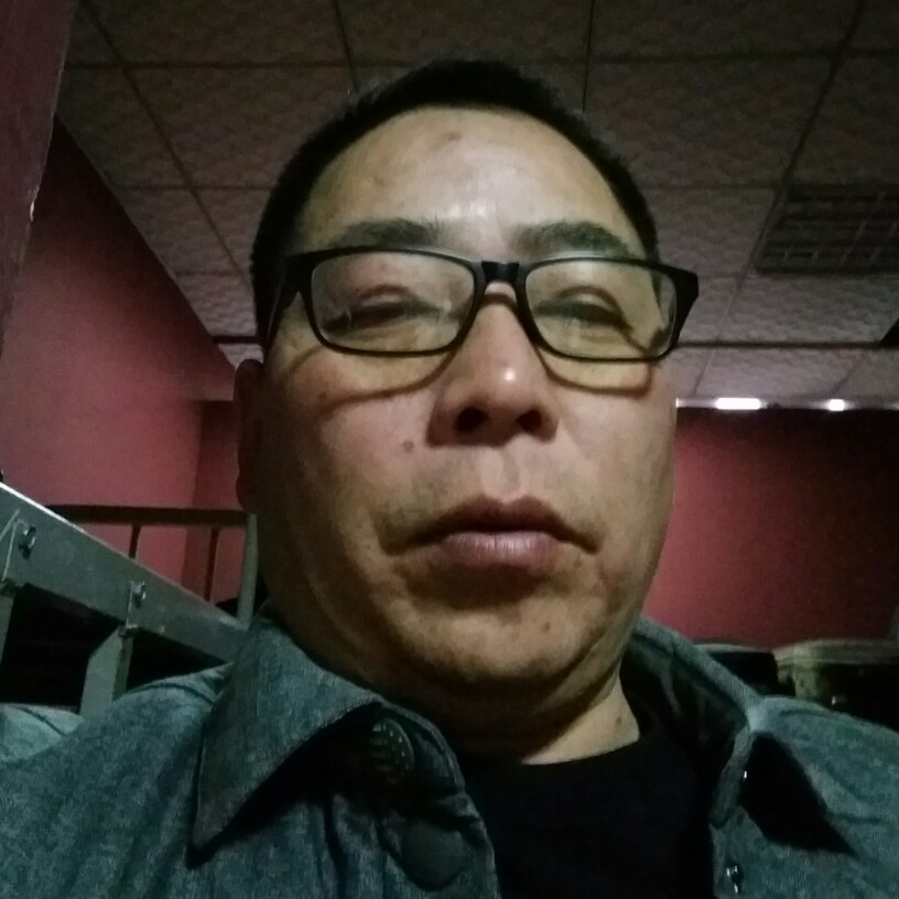 自觉小天鹅的照片