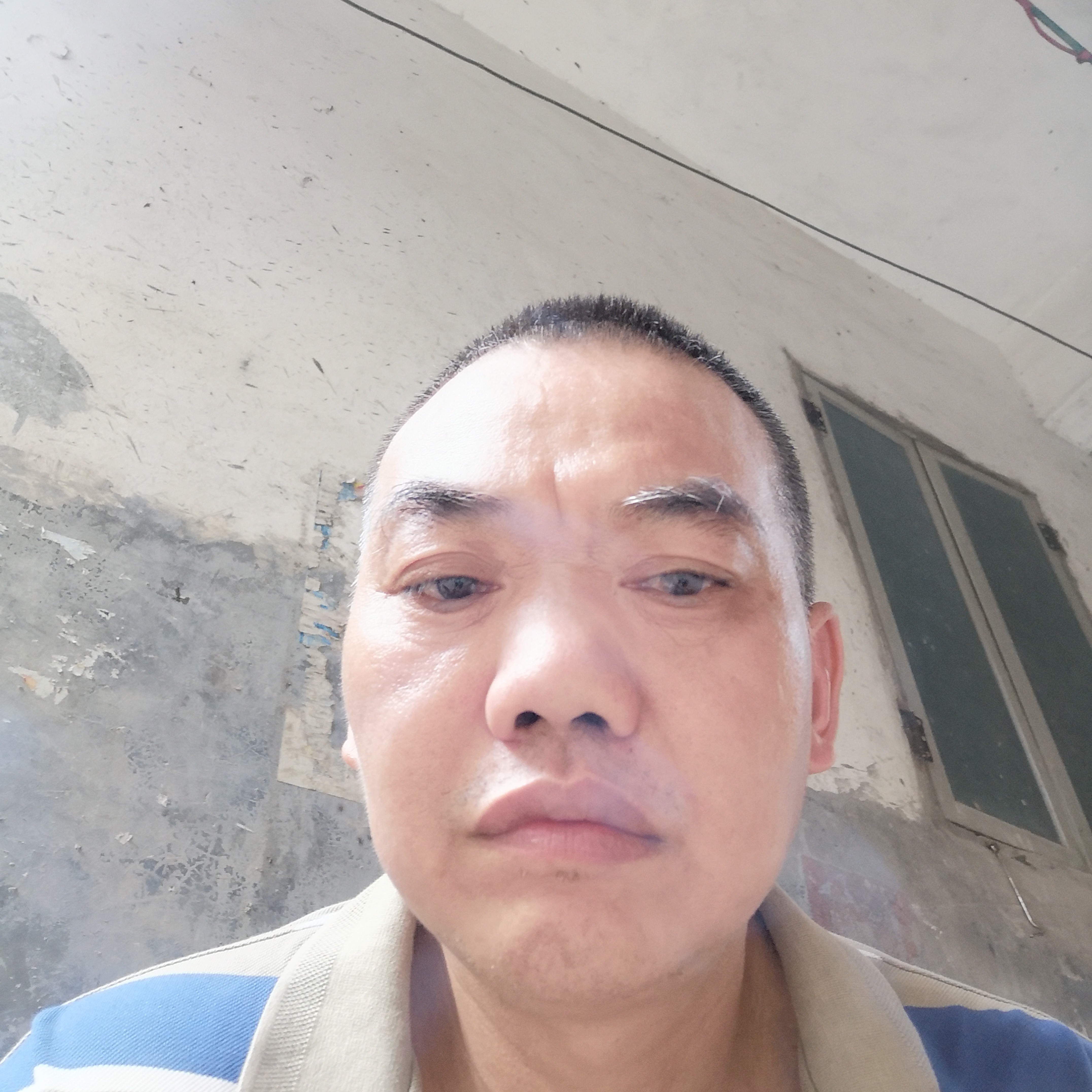 怕孤独面包千沁的照片