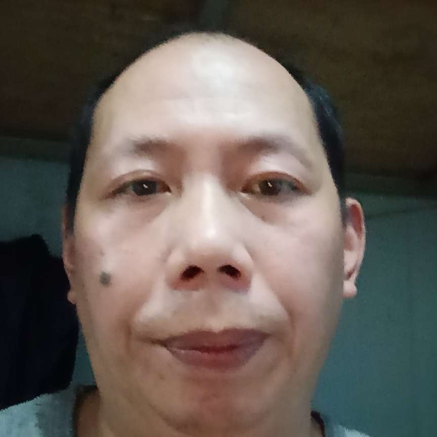 大雁改变若梦的照片