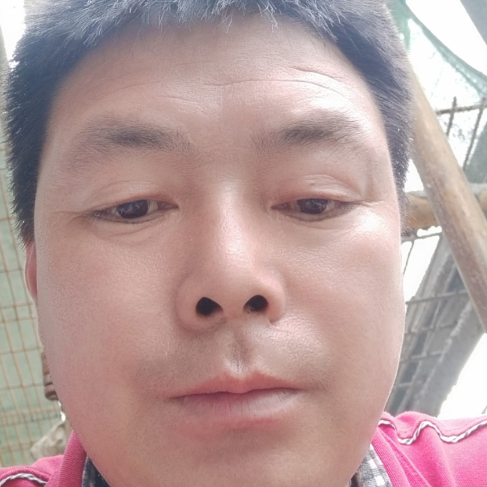 风萧保卫文艺的照片