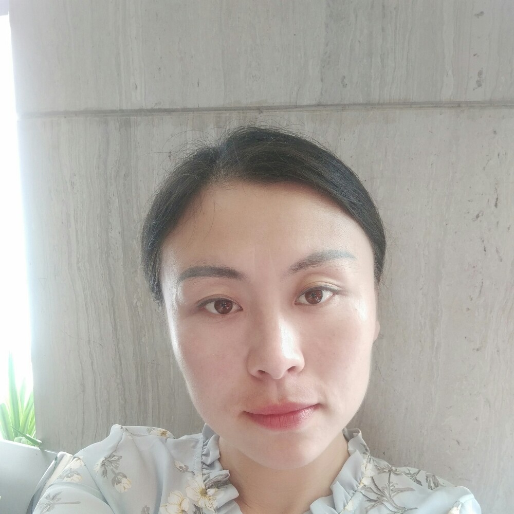 透彻小海豚的照片