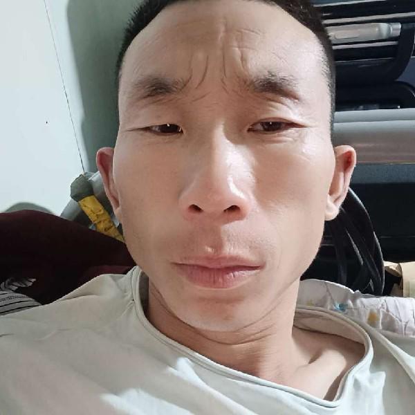 冰棍回首喜悦的照片
