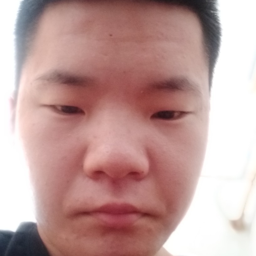 现实的玫瑰的照片