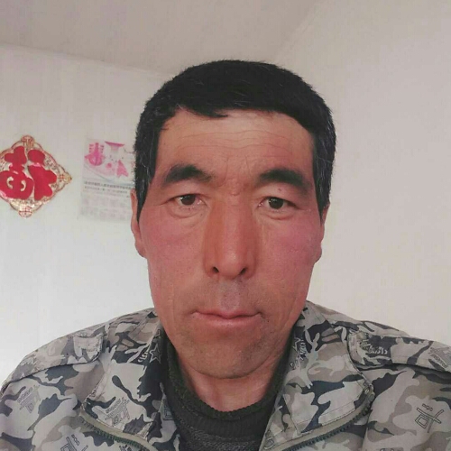 长宝的照片