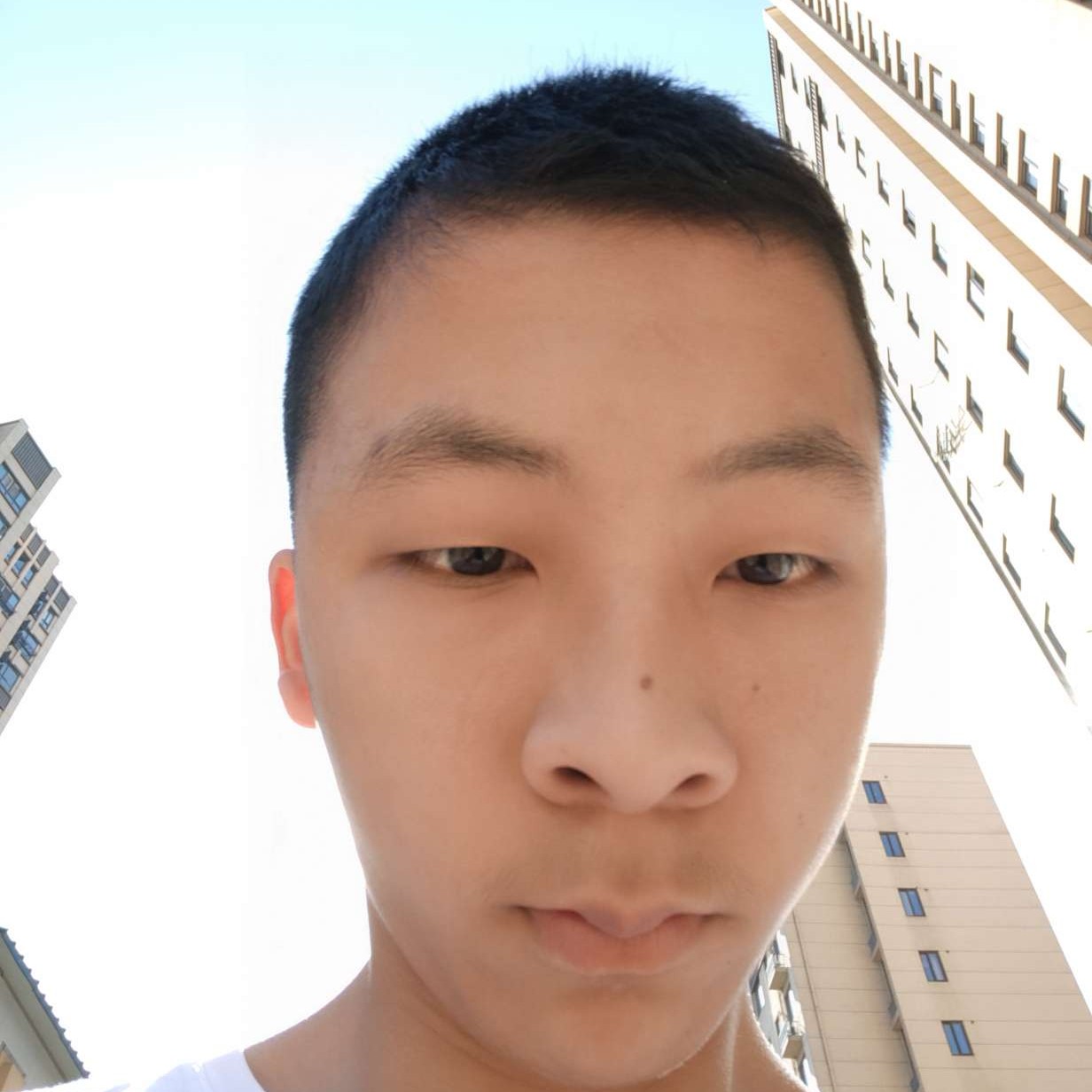 蓝天和悲凉的照片