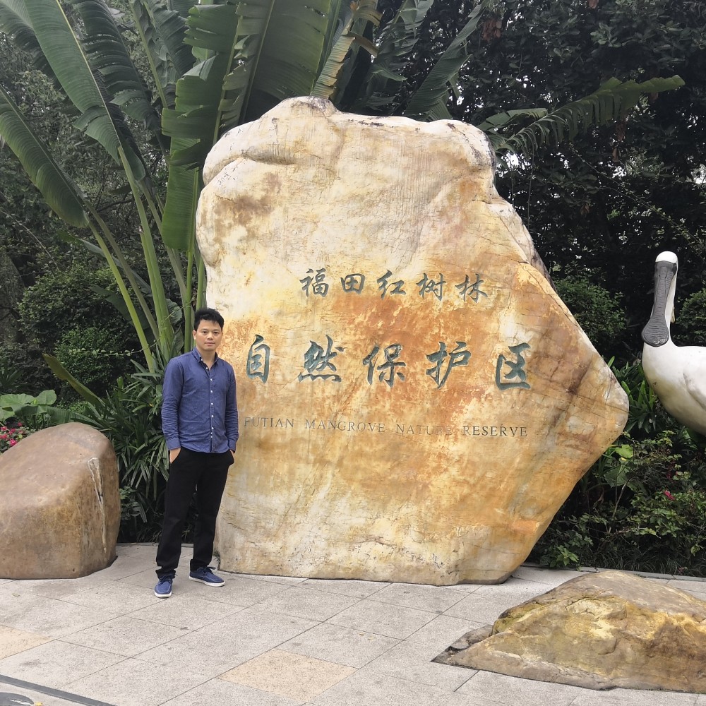 洛尘干净的照片