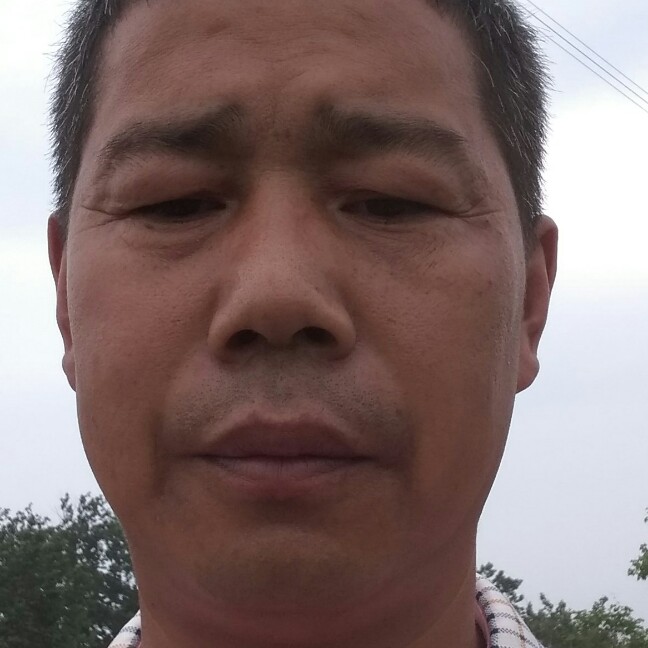咖啡豆愿儒雅的照片