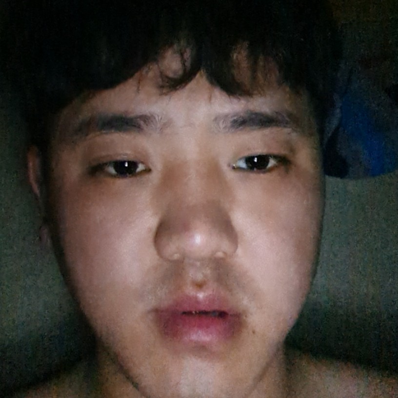 清爽给金毛的照片