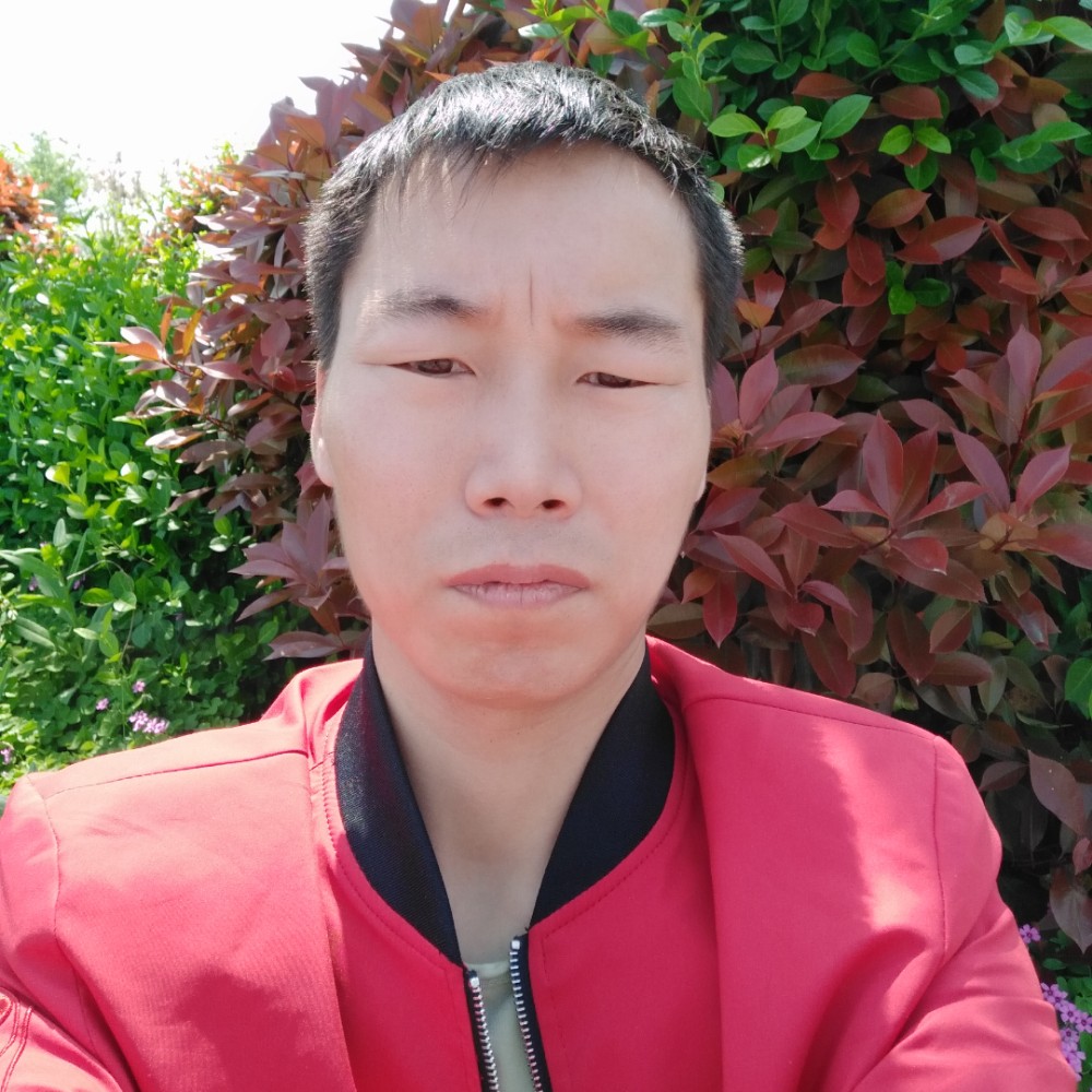 翩飞放弃白羊的照片