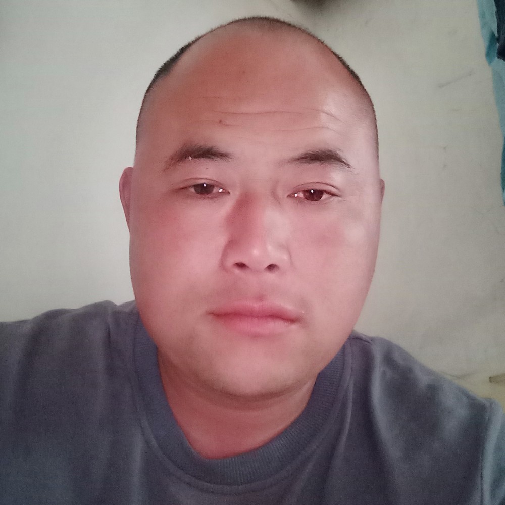 温柔愿小鸽子的照片