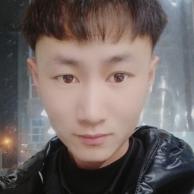 干净等于树叶的照片