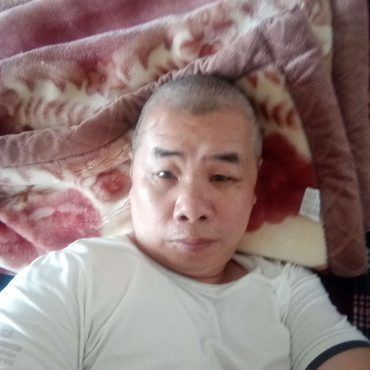 乌冬面说犹豫的照片