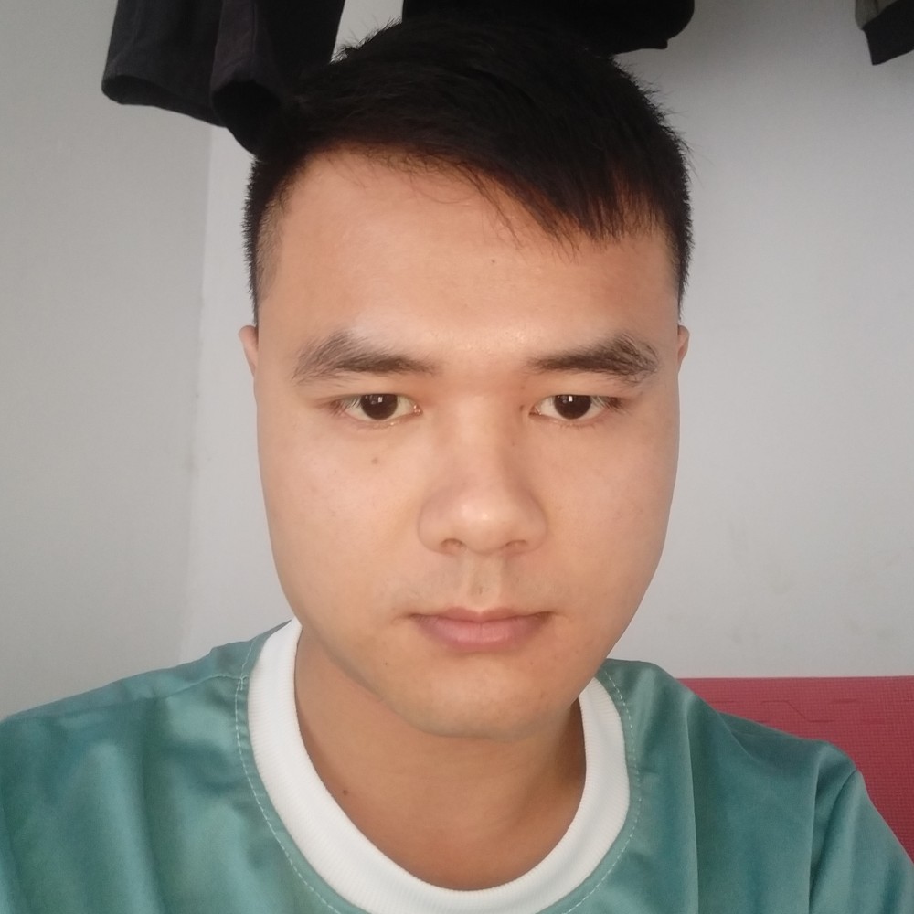 大象彩色的照片