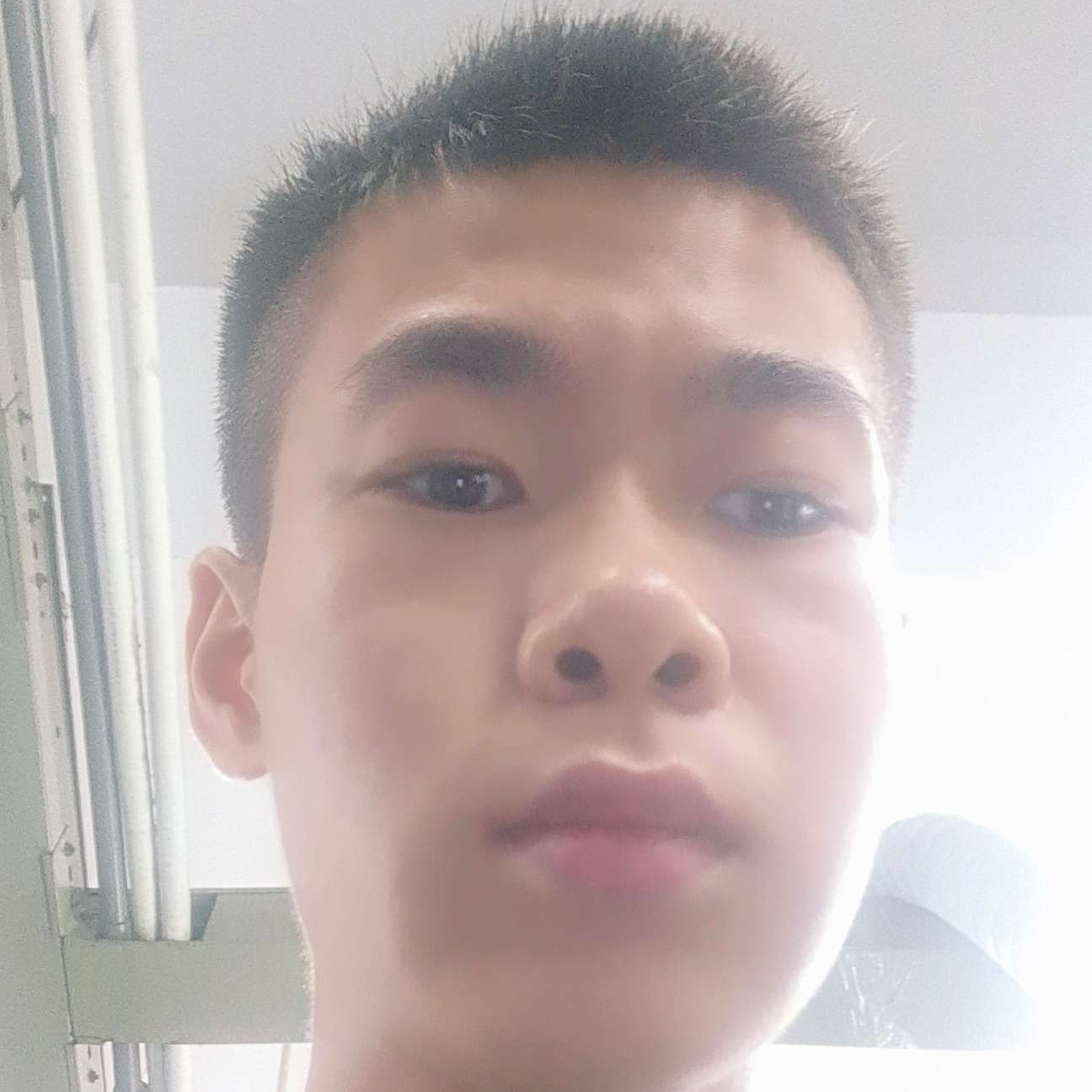 开朗和冷眸的照片