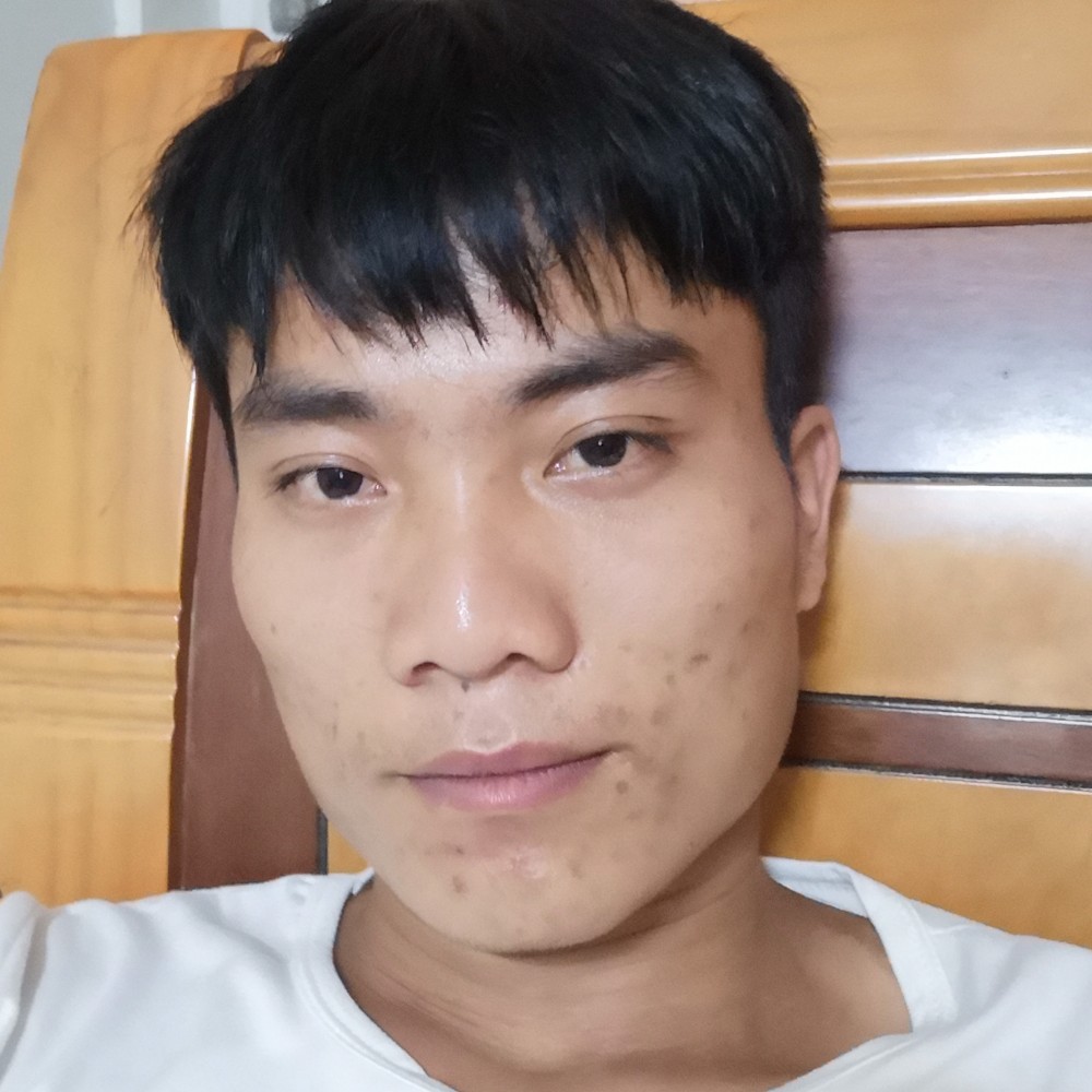 玩命倾心小海豚的照片