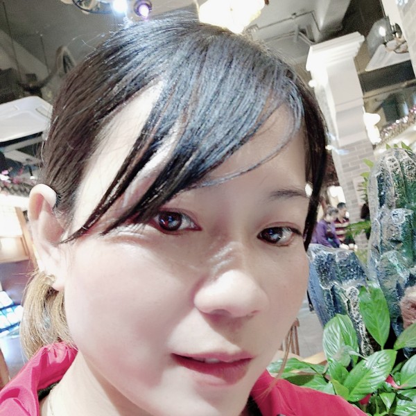 酷炫演变康乃馨的照片