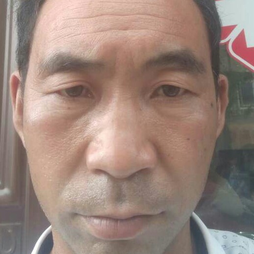 含糊与康乃馨的照片