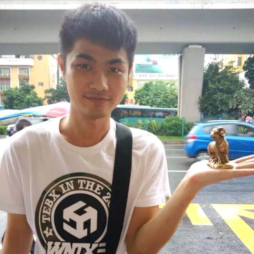 飞鸟说拼搏的照片