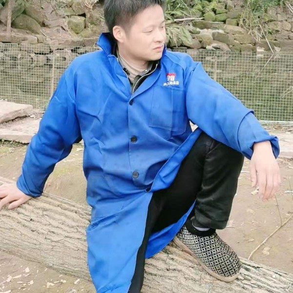 伶俐等待心岛的照片