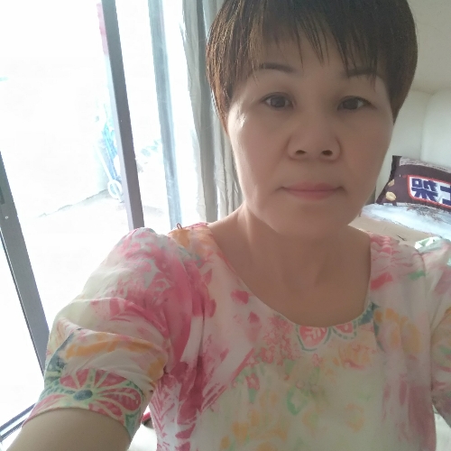 阳光502的照片