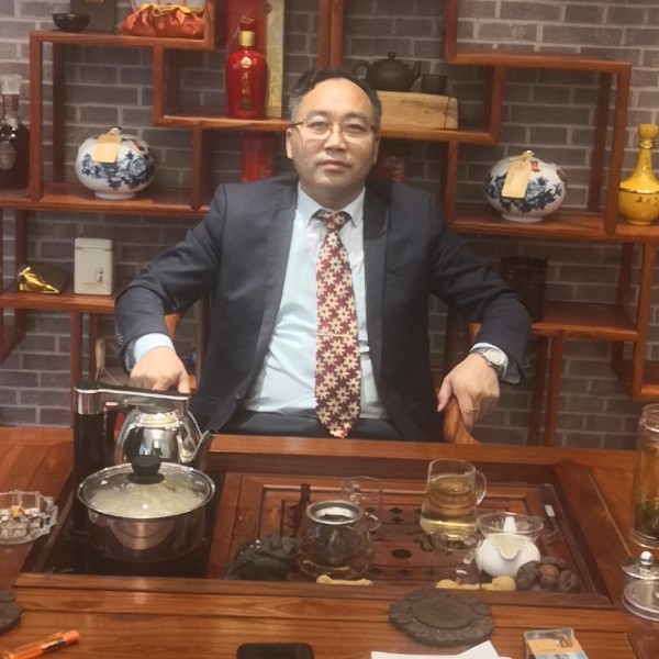 孤独的海鸥的照片
