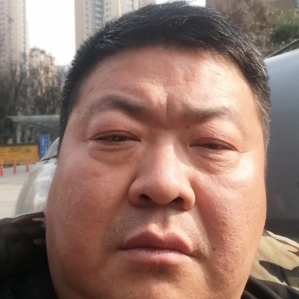 鸡平淡的照片